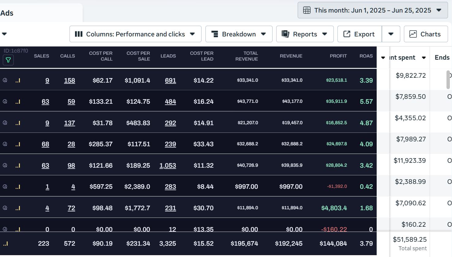 $195,674 revenue on $51,589 ad spend